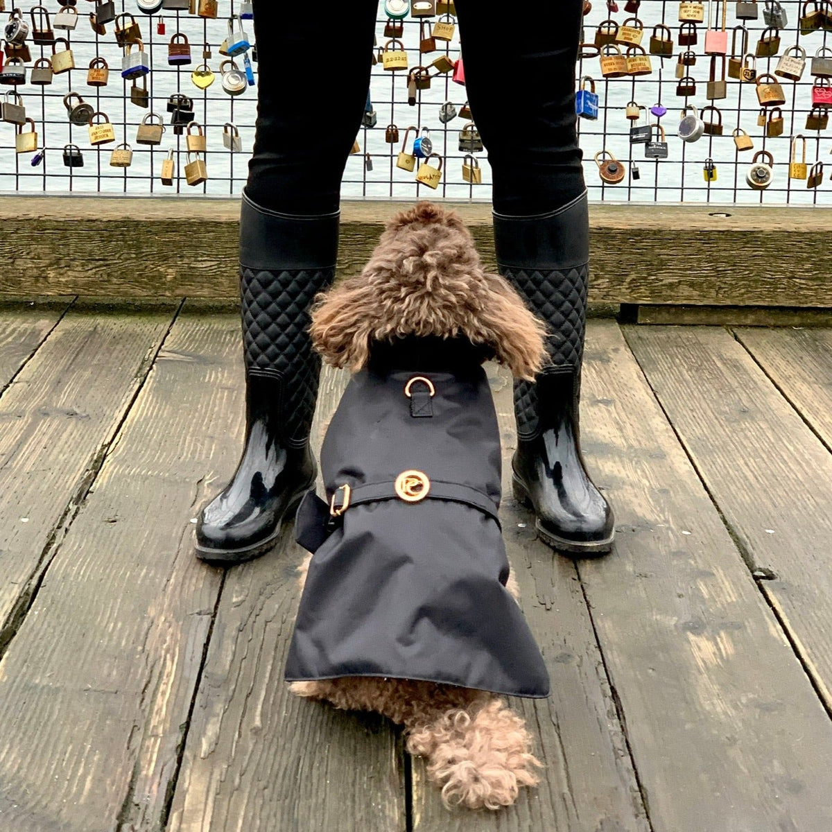 Veste de pluie noire