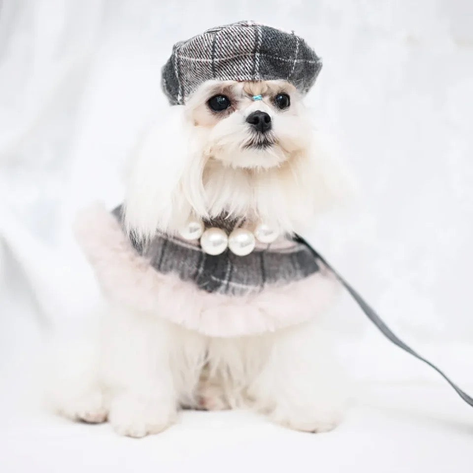 Ensemble harnais pour chien Ophelia Plaid | Tenue avec chapeau et laisse