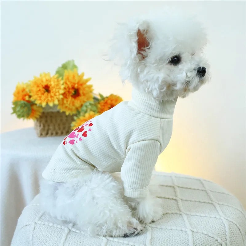 Pull Cœur