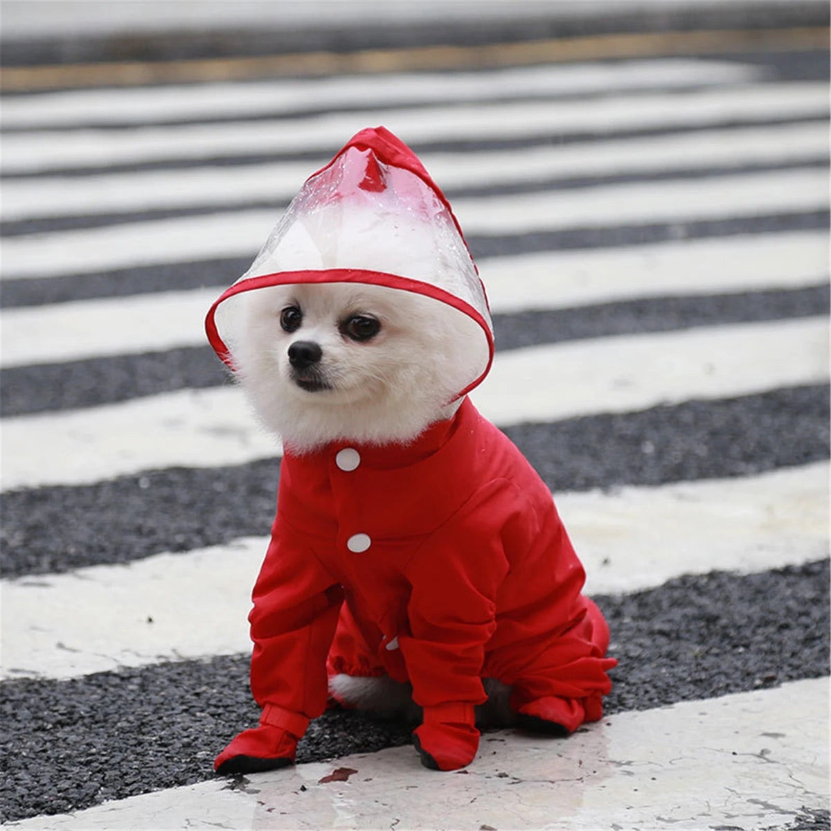 Canada Jacket