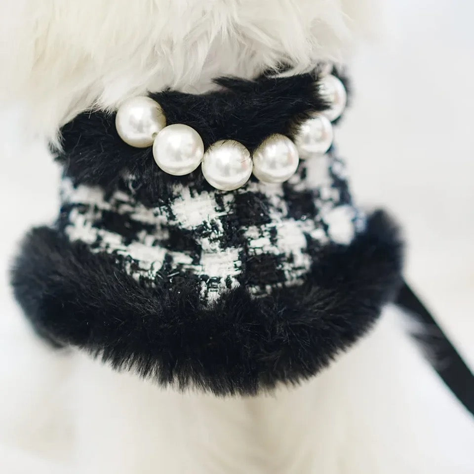 Ensemble Harnais, Chapeau et Laisse Grand Maître Tweed pour Chien