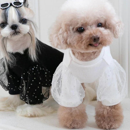 Chemisier Chien Conte de Fées | Haut Tendance pour Animaux de Compagnie