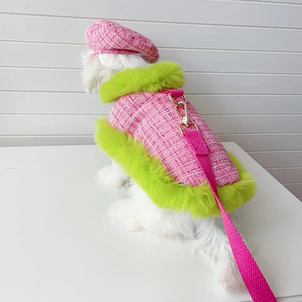 Ensemble Harnais à Carreaux | Ensemble Harnais, Laisse et Chapeau pour Chien