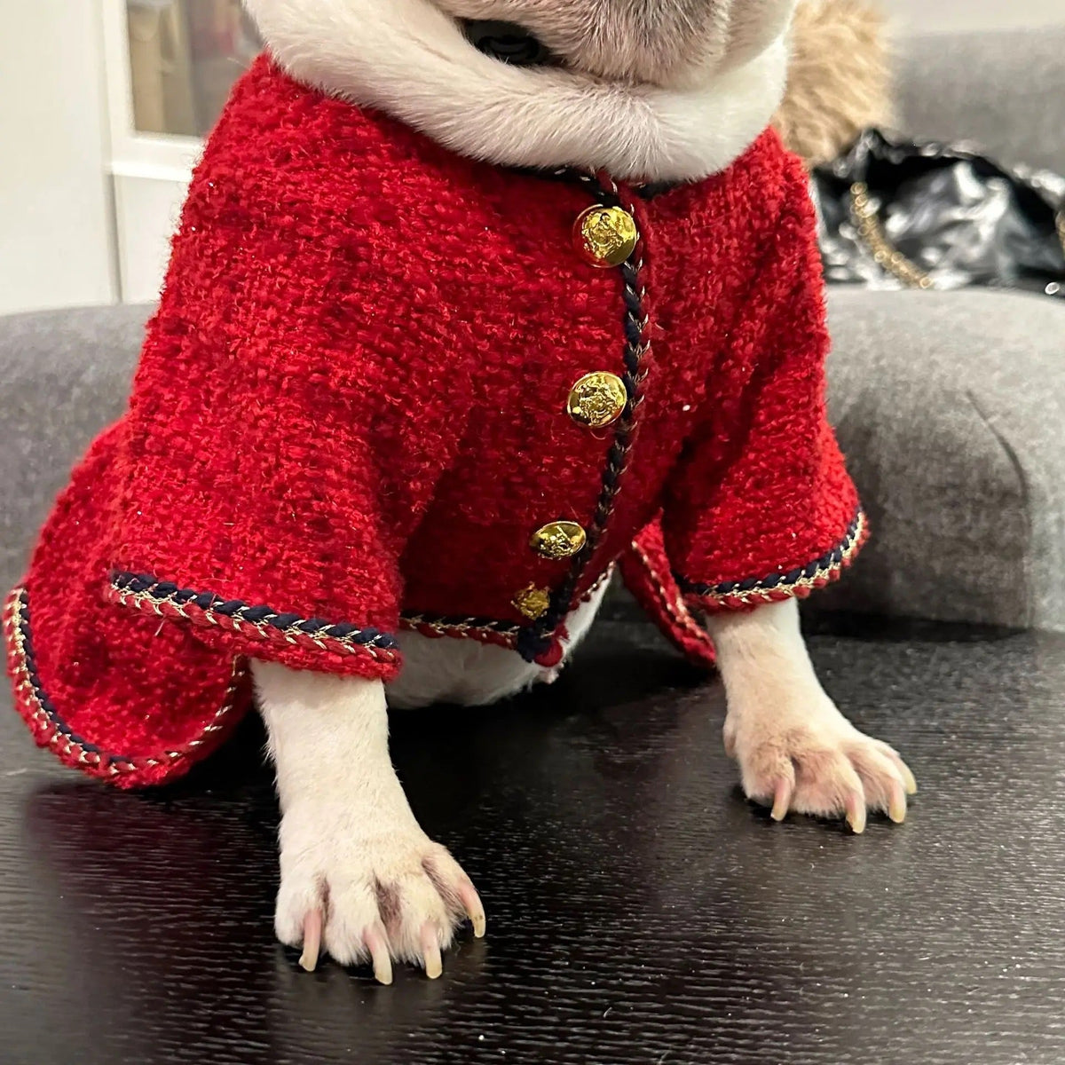 Robe et Chapeau pour Chien | Tenue en Tweed Chewnel pour Chien