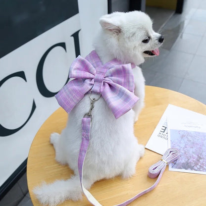 Ensemble Harnais et Laisse pour Chien avec Robe à Volants et Nœud | Tenue de Promenade pour Chien