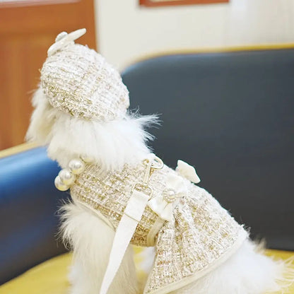 Ensemble harnais et laisse pour chien | Ensemble de vacances alpin pour chien