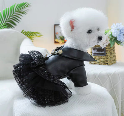 Robe pour chien « She’s a Rockstar » | Robe pour chien pour les grandes occasions