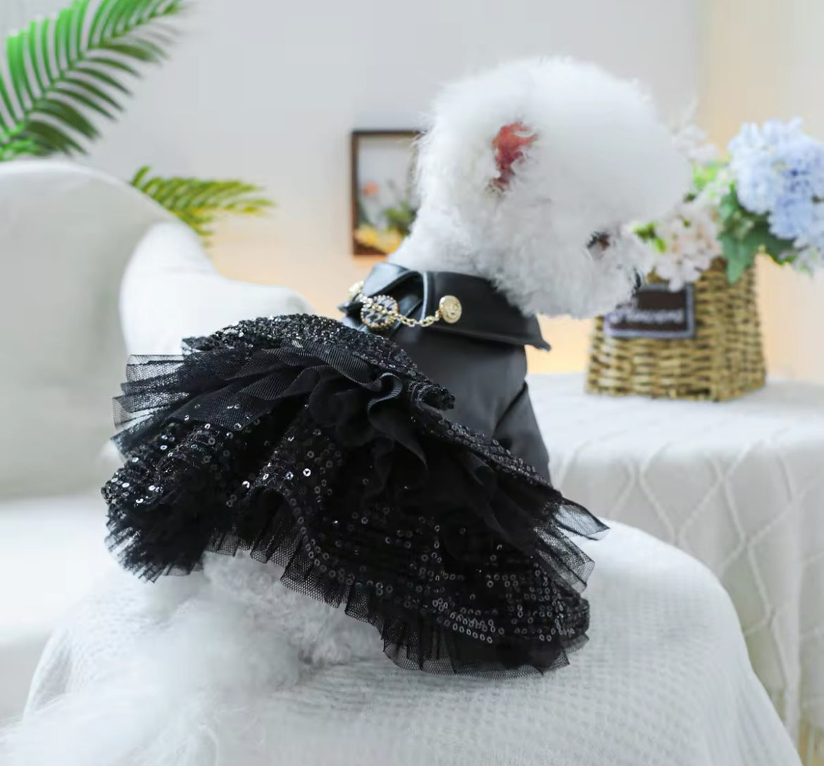 Robe pour chien « She’s a Rockstar » | Robe pour chien pour les grandes occasions