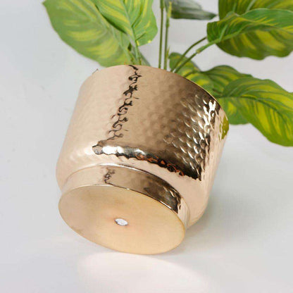 Calathea Faux Potted Plant