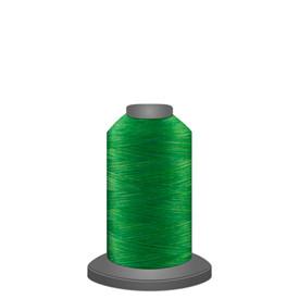 Glide Affinity Variegated King Spool - 60299 Turf