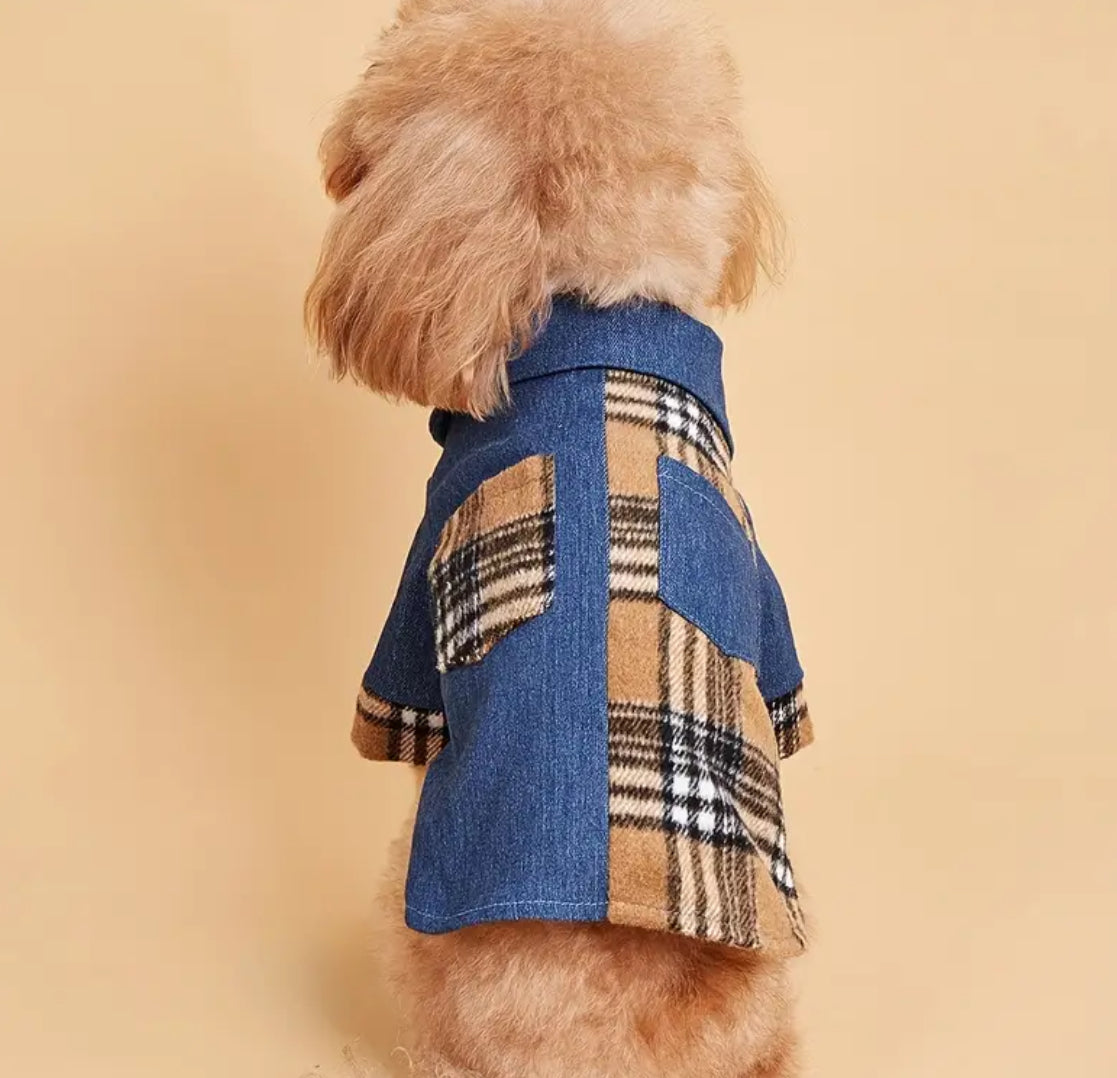 Chemise pour chien Lenny | Chemise boutonnée pour chiens
