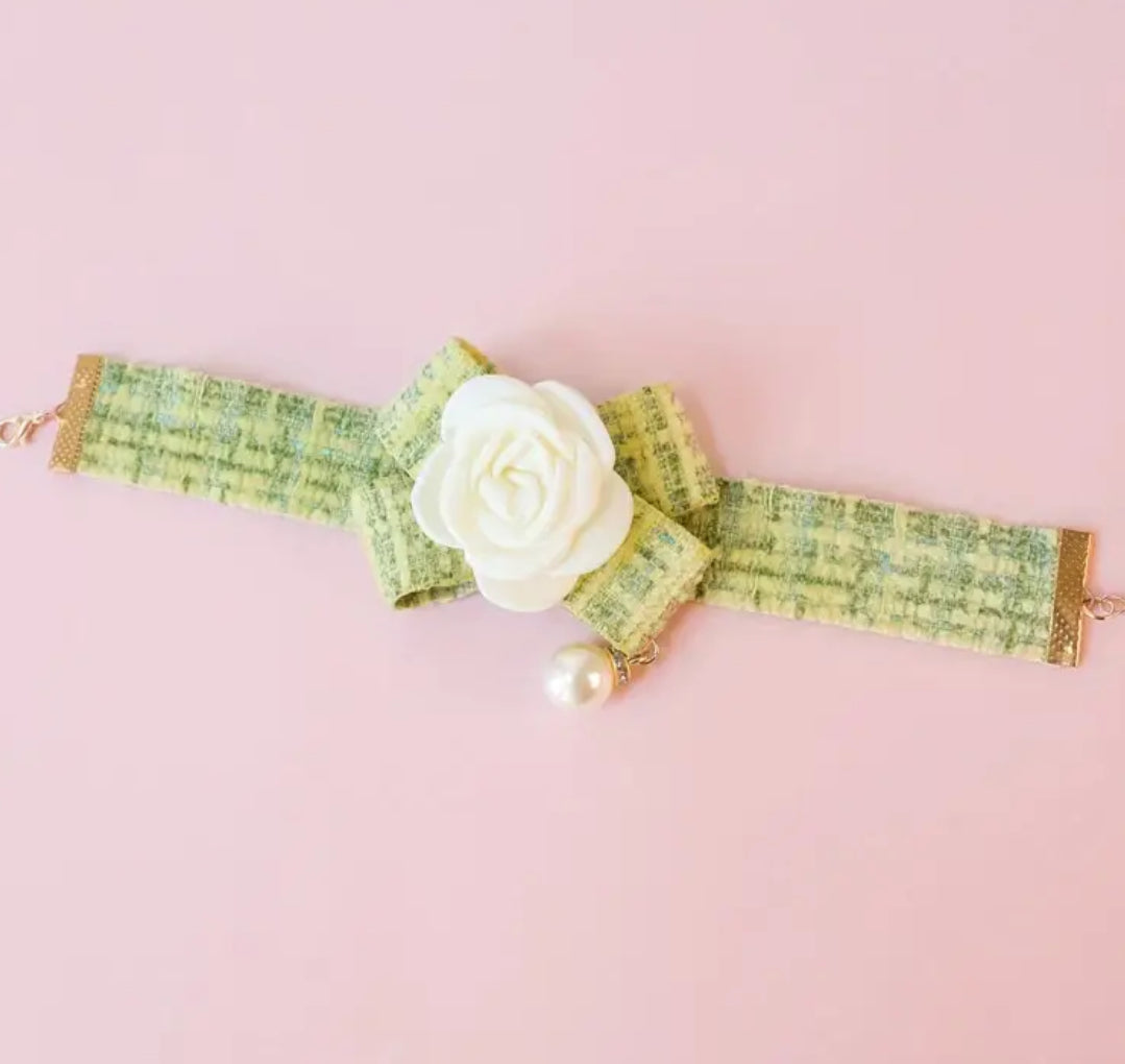 Collier pour chien Coco Chewnel | Collier pour chien
