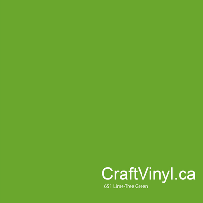 Vinyle Oracal 651 brillant vert tilleul n°063