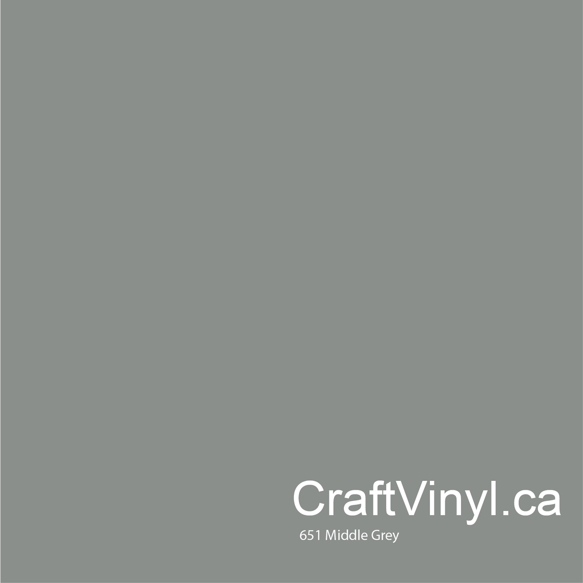 Vinyle adhésif Oracal 651 Brillant Gris Moyen #074