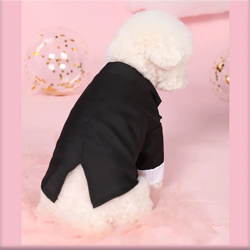 Costume de disco