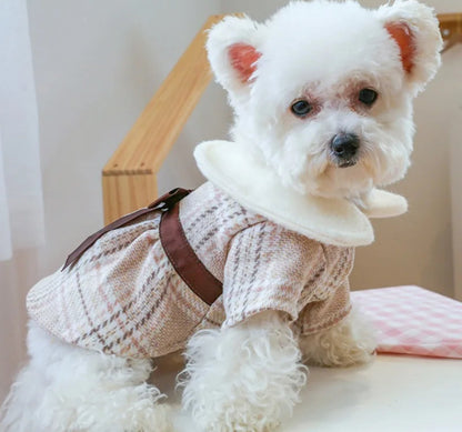 Robe Fiona pour chiens | Robe pour chiens pour occasions spéciales