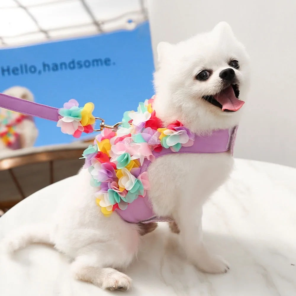 Ensemble Harnais et Laisse Cerisier en Fleurs | Ensemble de Promenade pour Chien