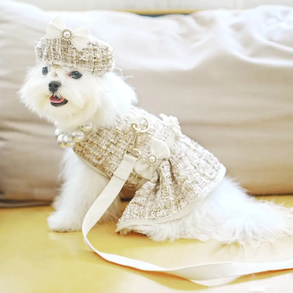 Ensemble harnais et laisse pour chien | Ensemble de vacances alpin pour chien