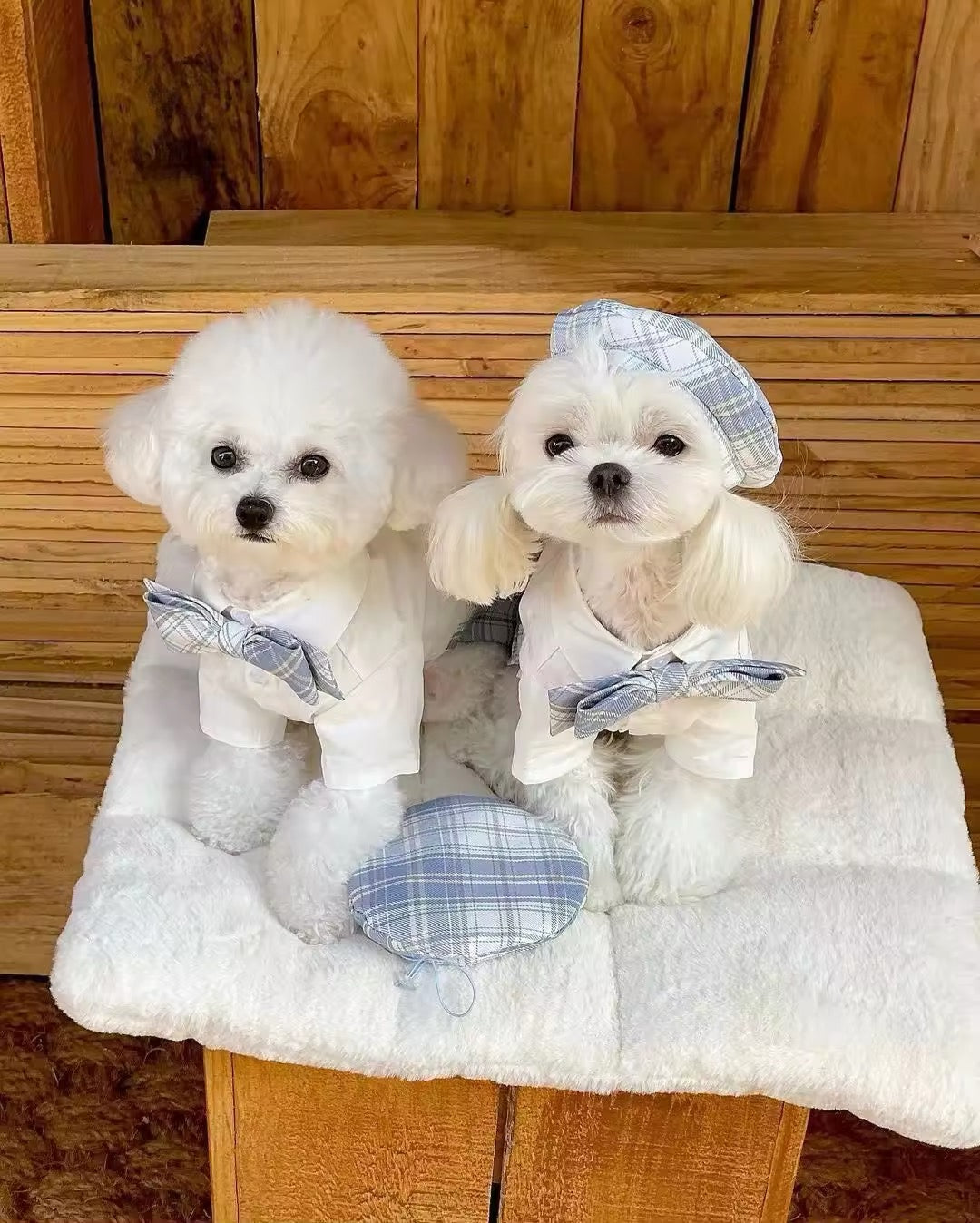 Belinda Set – Luxury Plaid Outfit Set with Matching Hat for Dogs