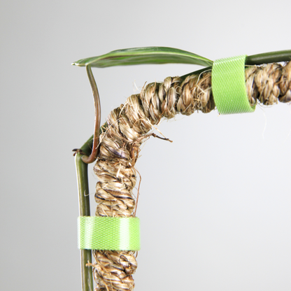 Le tuteur en fibre de coco flexible original™ - Meilleure vente (Ruban adhésif inclus)