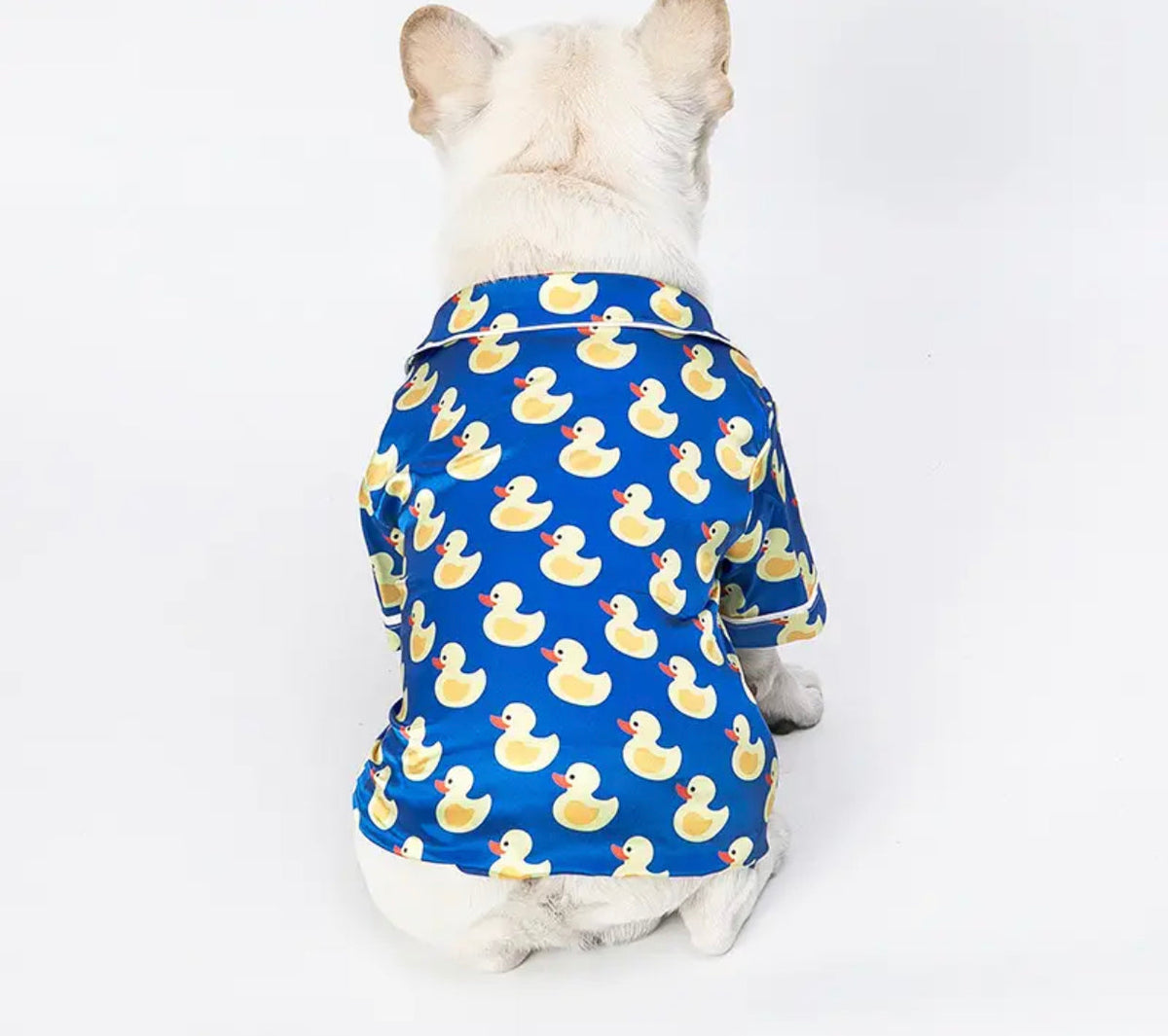 Pyjama Canard