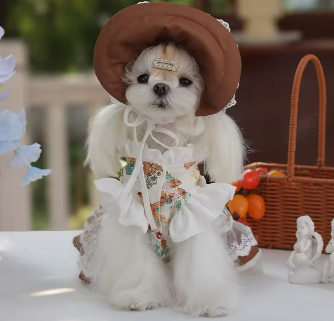 Medieval Dress & Hat Set – Fantasy Luxury Dog Outfit