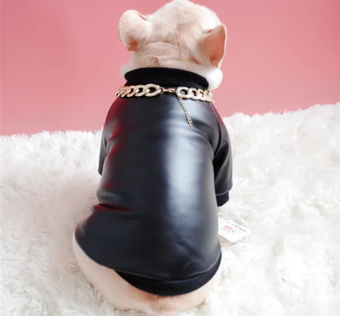 Blouson en cuir pour chien « Boujee » | Veste pour chien pour temps froid
