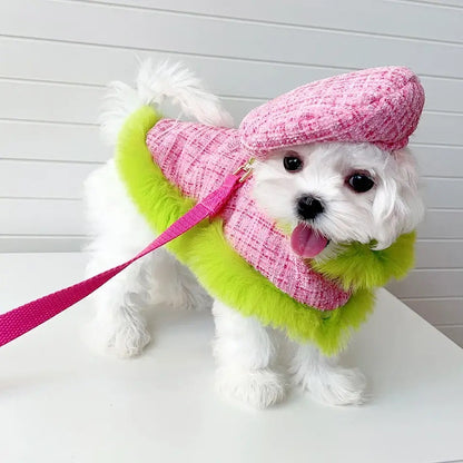 Ensemble Harnais à Carreaux | Ensemble Harnais, Laisse et Chapeau pour Chien