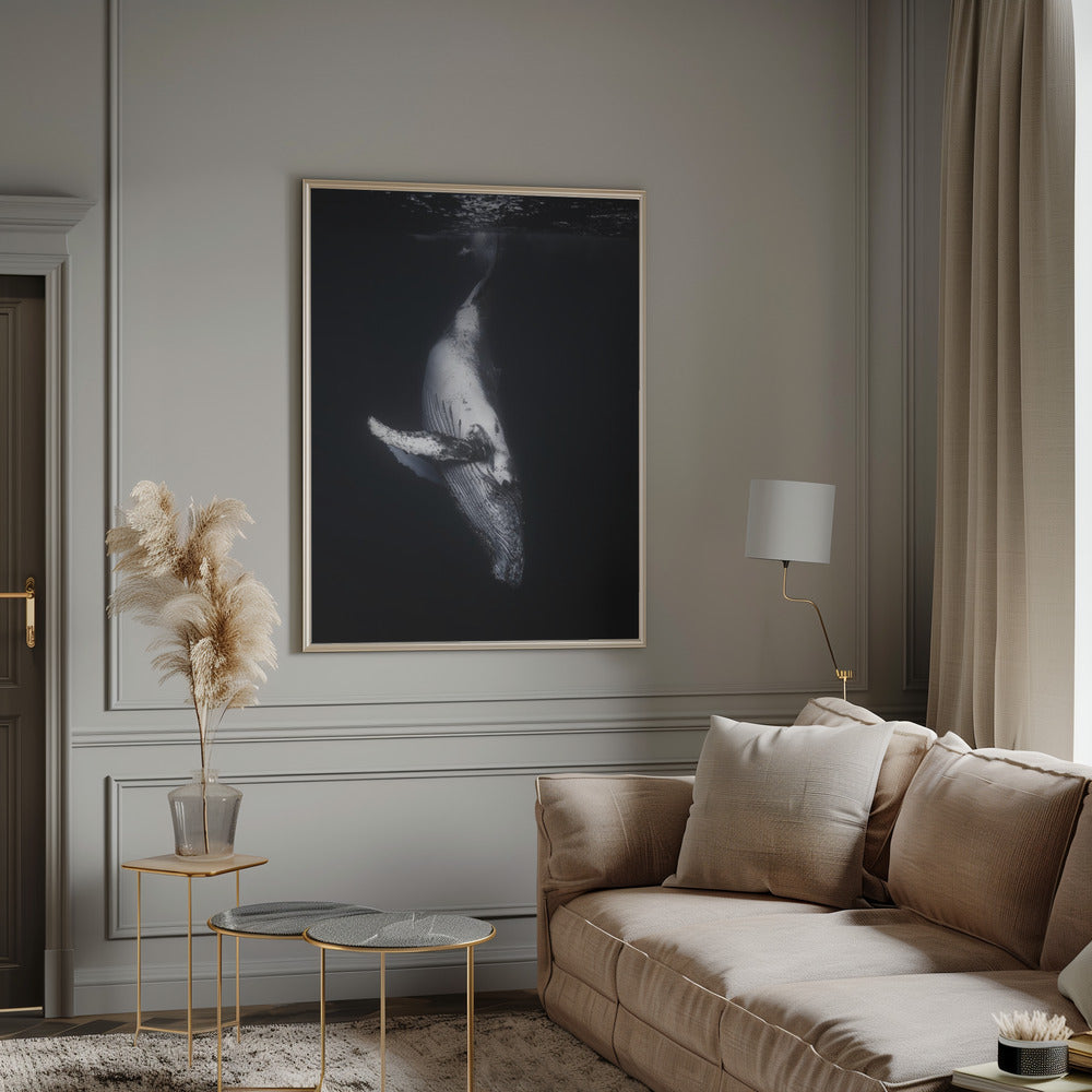 Art mural-Baleine noire