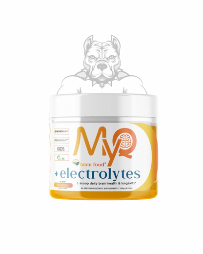 MYQ Brain Food + Electrolytes