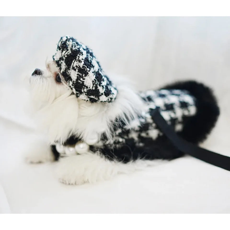 Ensemble Harnais, Chapeau et Laisse Grand Maître Tweed pour Chien