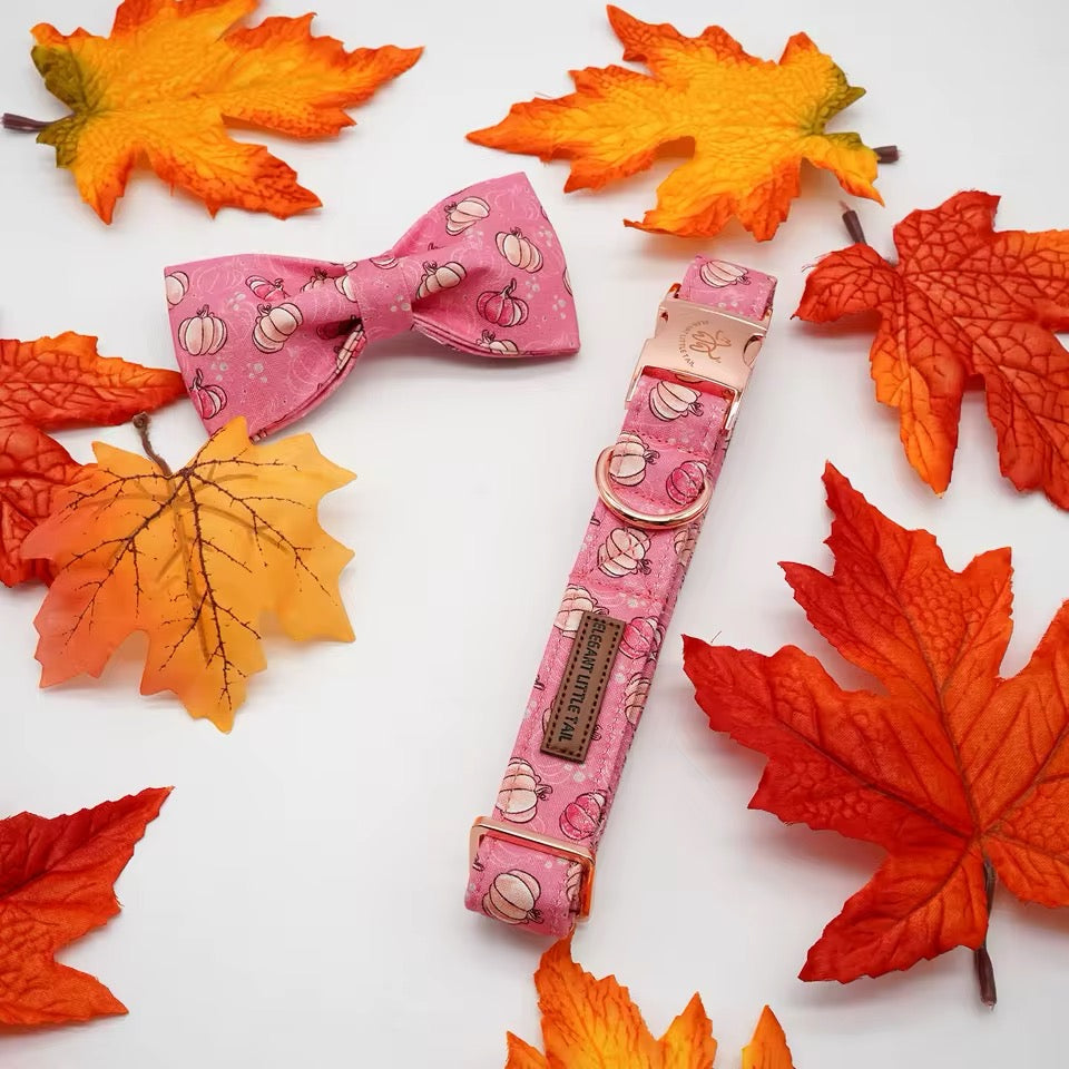 Collier pour chien citrouille | Collier d'Halloween pour chien