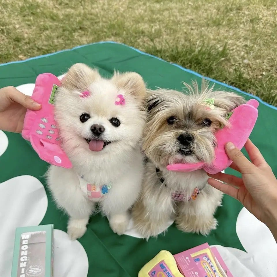 Jouet en peluche "Appelle-moi" pour chien | Jouet interactif pour chien en forme de téléphone