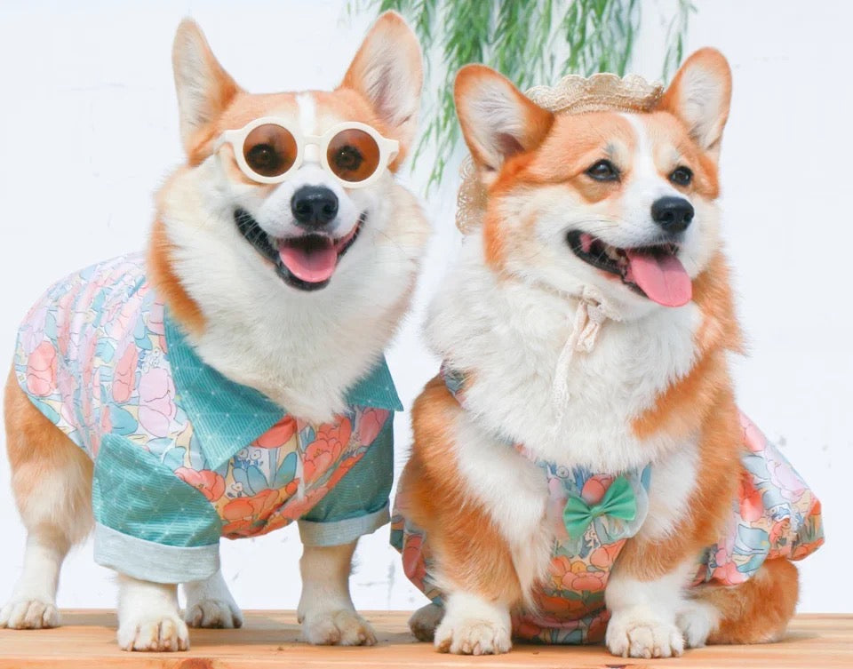 Robe/Chemise Pétunia