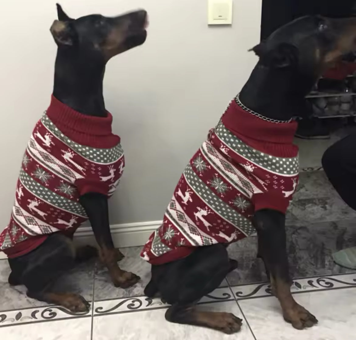 Pull de Noël pour chien | Pull d'hiver pour chien