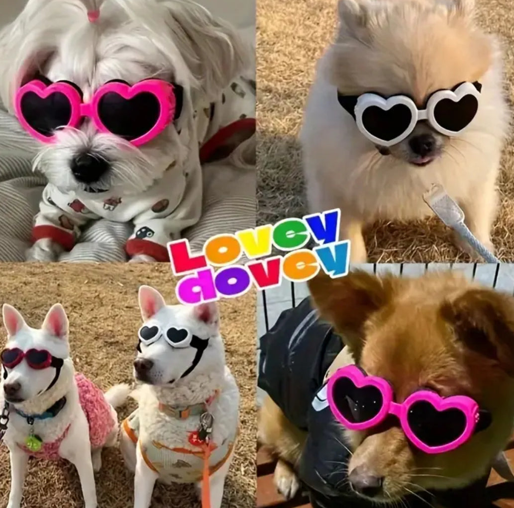 Lunettes en forme de cœur pour chien | Lunettes pour chien en forme de cœur