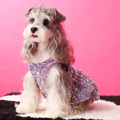 New Years Lover Sequin Dog Dress | Luxury Party Pet Dress