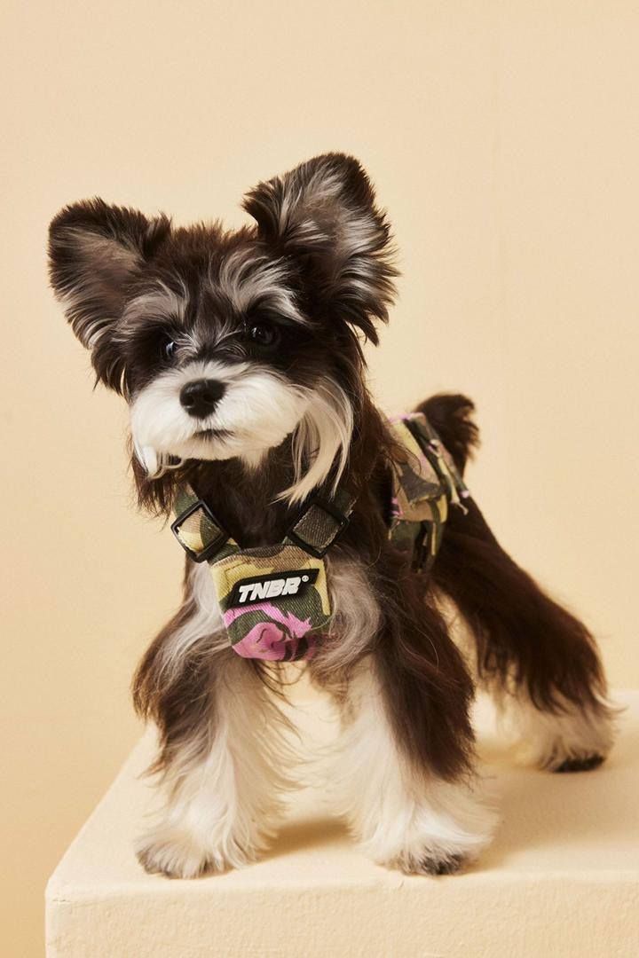 Gilet pour chien d'automne | Gilet pour chien par temps frais