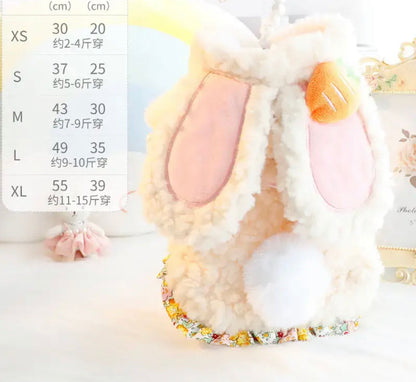 Tenue de lapin de Pâques