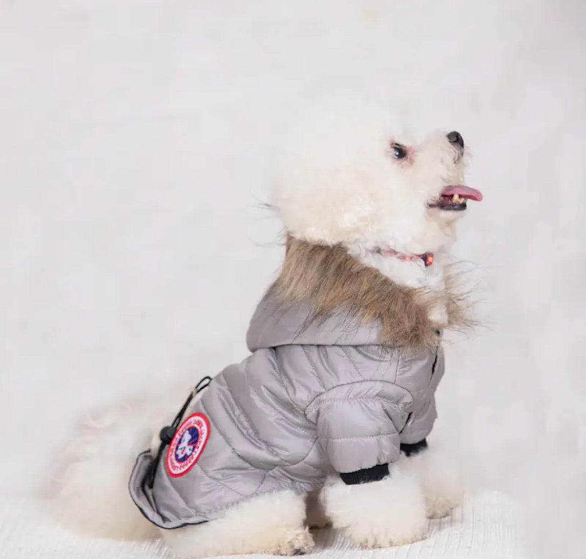 Veste pour chien Canada | Veste d'hiver isolée pour chien avec capuche en fourrure