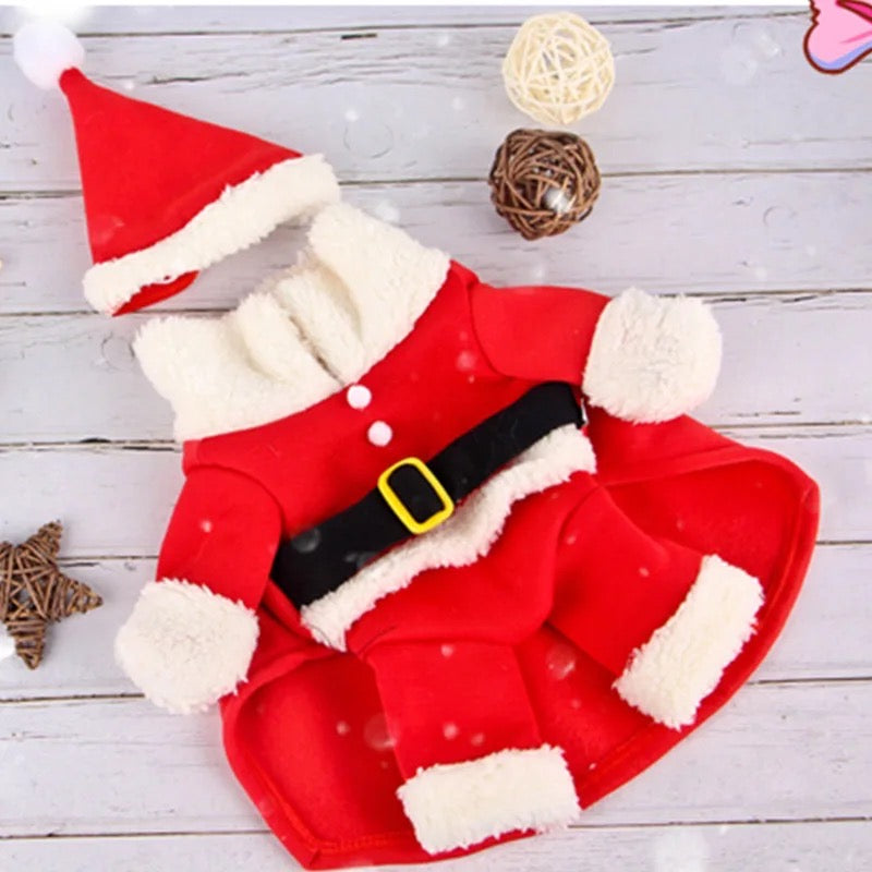 Tenue de chien « Santa Claws Is Coming » | Tenue de Noël pour chien