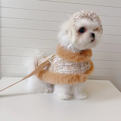 Ensemble Harnais, Chapeau et Laisse pour chien | Ensemble de promenade pour chien en tweed cappuccino
