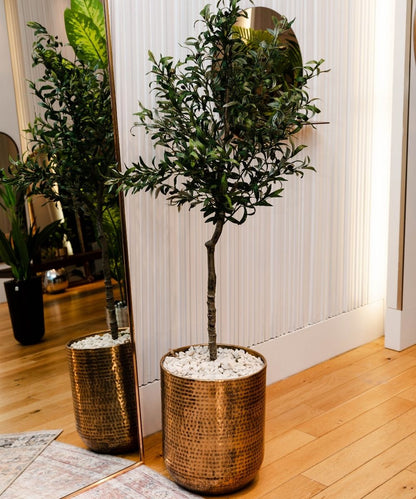 Bertooo - Cache-pot Mid-Century en laiton