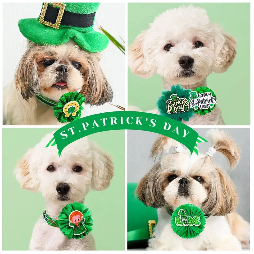 Nœuds de la Saint-Patrick