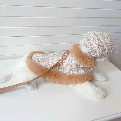 Ensemble Harnais, Chapeau et Laisse pour chien | Ensemble de promenade pour chien en tweed cappuccino