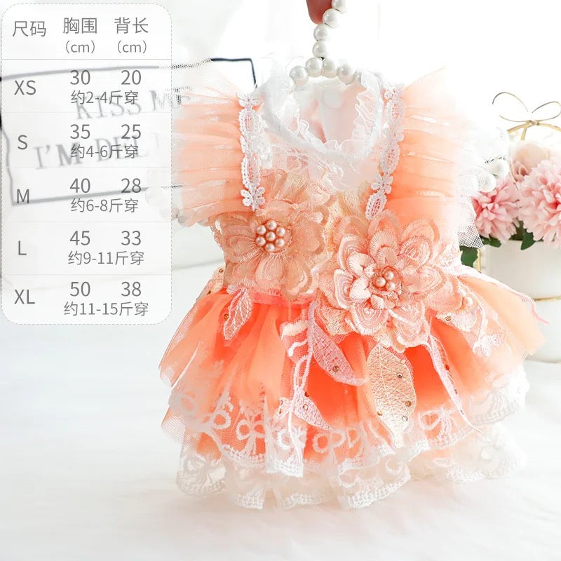 Robe Pêches et Crème