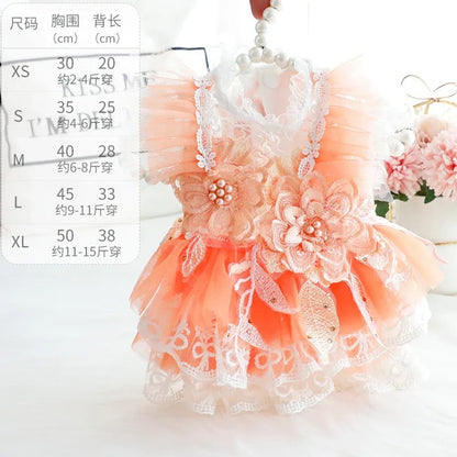 Robe Pêches et Crème