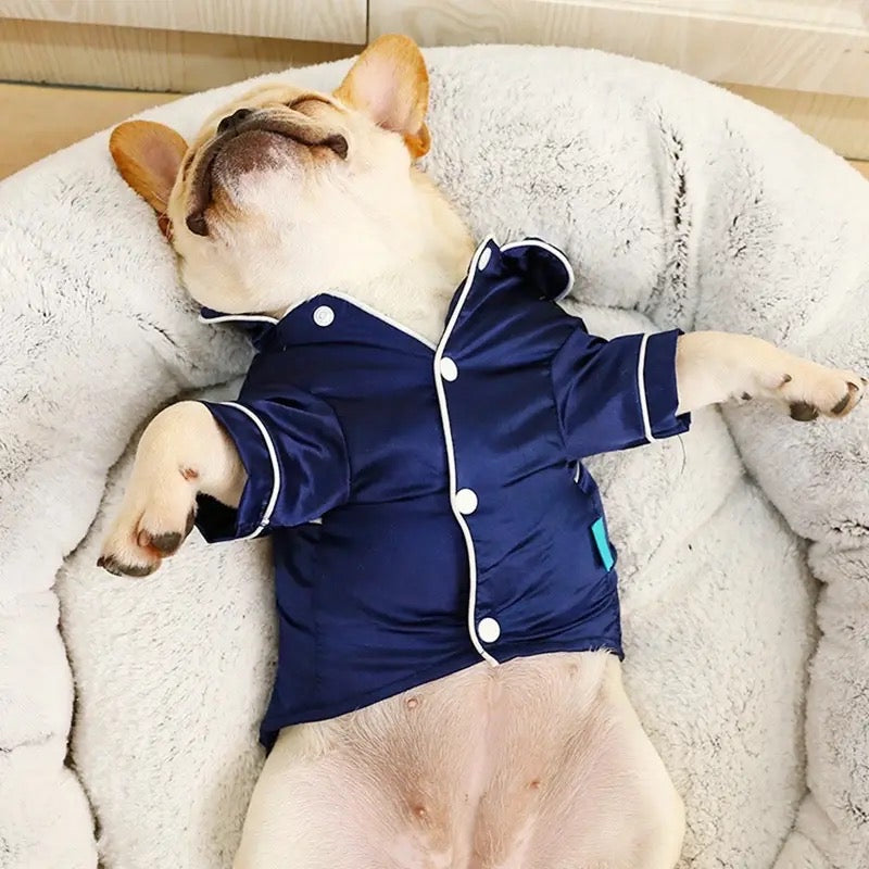 Pyjamas en soie pour chien | Pyjamas pour animaux de compagnie