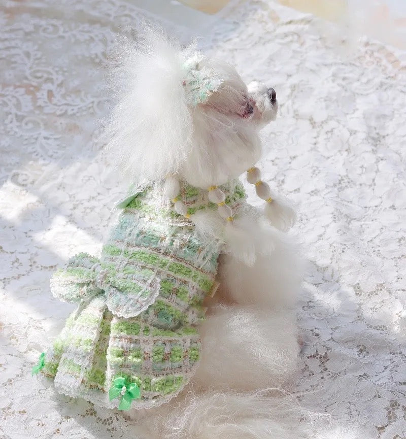 Dog Dress & Shirt Set | Enchanted Sibling Outfit Set
