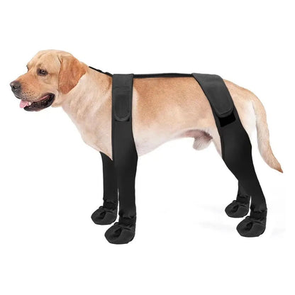 Bottes pour chien